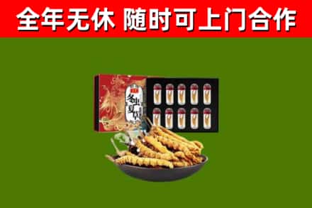 云浮回收冬虫夏草价格