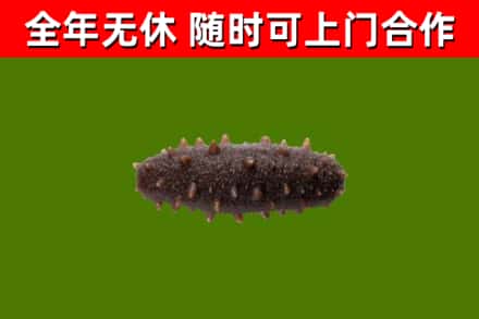 云浮烟酒回收干海参.jpg